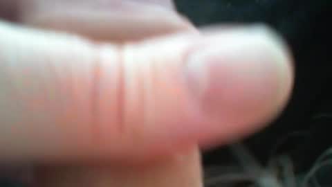 bullemoe online show from 03/09/26, 12:31