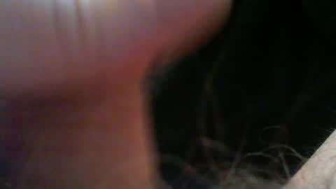 bullemoe online show from 04/16/26, 04:57