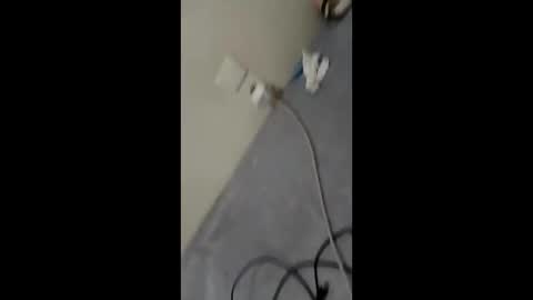 bullspain27266272 online show from 01/29/25, 03:01