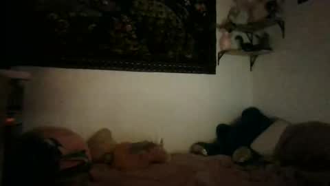 bunn13cat online show from 03/17/26, 12:52