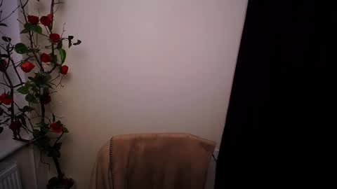 Ariel online show from 03/20/26, 09:08