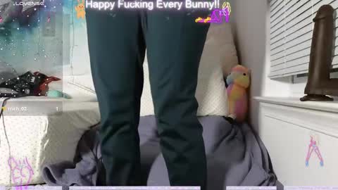 Snapshot of bunnycheekz chatting on 12/12/24, 02:37 Tokki  bunny  online show from 12/12/24, 02:37