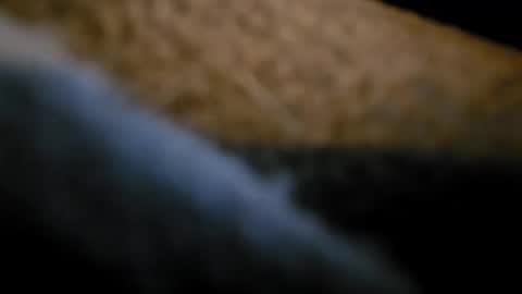 Snapshot of bunnynclyde8181 chatting on 09/14/25, 12:37 bunnynclyde8181 online show from 09/14/25, 12:37