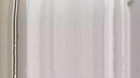 Burnout1315 online show from 12/28/24, 05:03