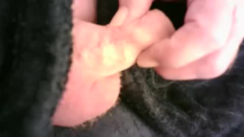 Hamish online show from 11/23/25, 12:32