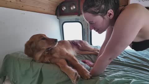 Snapshot of busbuddies chatting on 02/02/25, 04:54 busbuddies online show from 02/02/25, 04:54