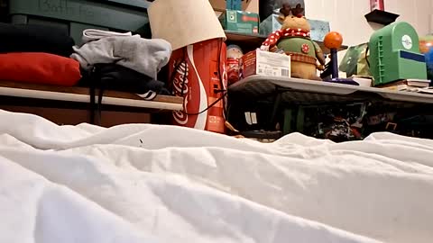 bushdoctor1 online show from 09/23/25, 07:22