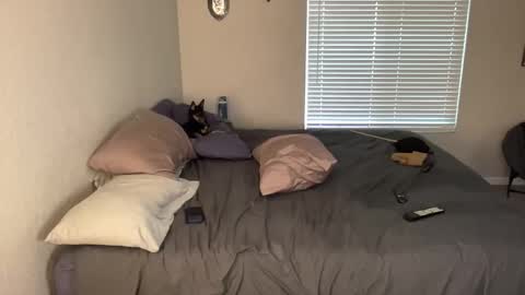 Pocket Daddy cockring gaycouple cockring lovense daddy online show from 05/19/26, 01:56