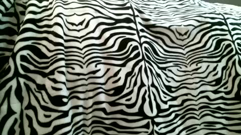 Snapshot of bustinfree chatting on 02/05/25, 03:31 bustinfree online show from 02/05/25, 03:31