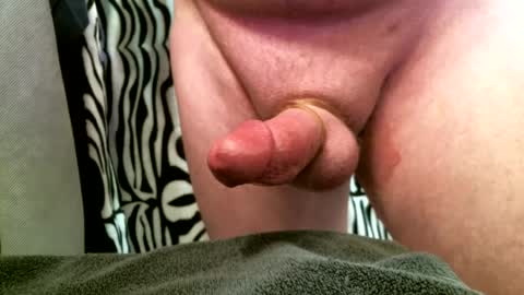 Snapshot of bustinfree chatting on 02/12/25, 03:16 bustinfree online show from 02/12/25, 03:16