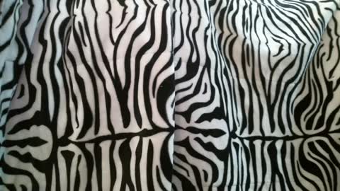 Snapshot of bustinfree chatting on 02/28/25, 03:37 bustinfree online show from 02/28/25, 03:37