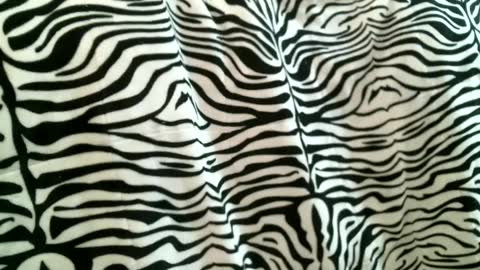 Snapshot of bustinfree chatting on 09/09/25, 05:56 bustinfree online show from 09/09/25, 05:56