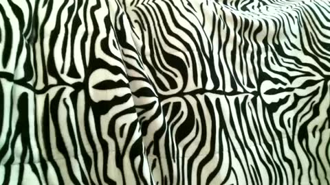 Snapshot of bustinfree chatting on 09/15/25, 03:34 bustinfree online show from 09/15/25, 03:34