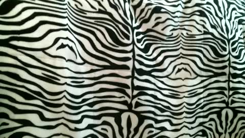 Snapshot of bustinfree chatting on 09/16/25, 03:35 bustinfree online show from 09/16/25, 03:35