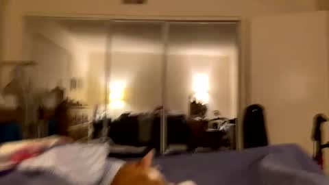 busty_2008 online show from 02/24/26, 03:04