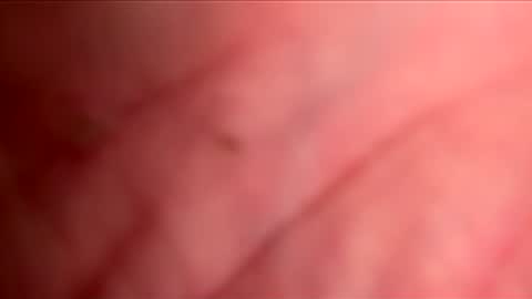 busuzikit1 online show from 06/09/26, 06:41