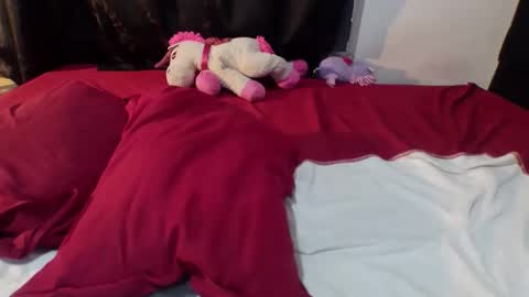 Dylan online show from 02/20/26, 06:37