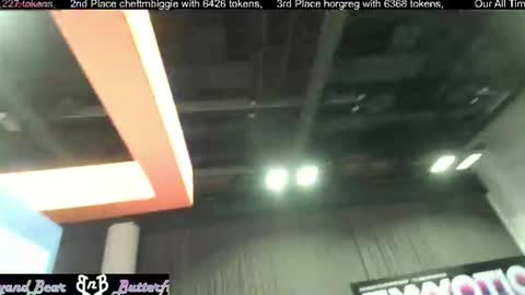 Butterfly and Bear online show from 06/27/26, 06:57