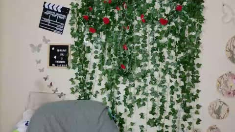 butterfly booty online show from 11/30/25, 09:52