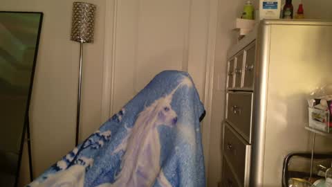 butterfly booty online show from 03/31/26, 07:42