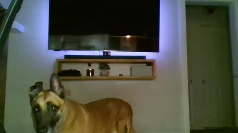 Snapshot of bwc44u chatting on 10/02/25, 02:07 bwc44u online show from 10/02/25, 02:07