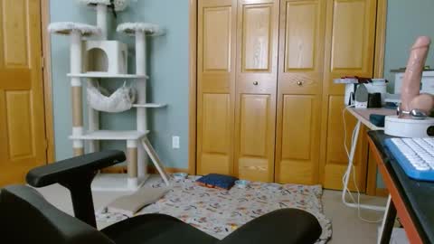 bxdieelatina online show from 11/14/25, 06:39