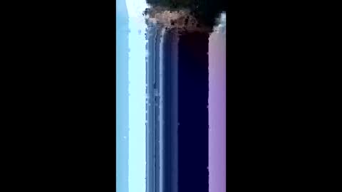 bydsknox online show from 03/04/26, 02:06