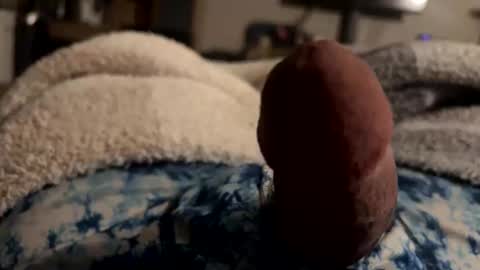 Snapshot of byrdbean chatting on 01/17/26, 07:46 byrdbean online show from 01/17/26, 07:46