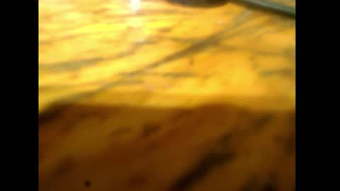 bzxxbzh online show from 02/15/26, 04:14