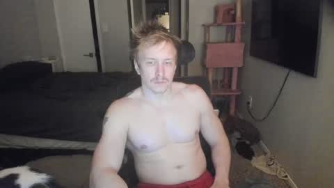 Snapshot of c00ki3m0nstr chatting on 06/19/26, 02:27 c00ki3m0nstr online show from 06/19/26, 02:27