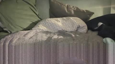 Snapshot of c4tf1sh chatting on 01/14/26, 08:53 1DontR3member online show from 01/14/26, 08:53