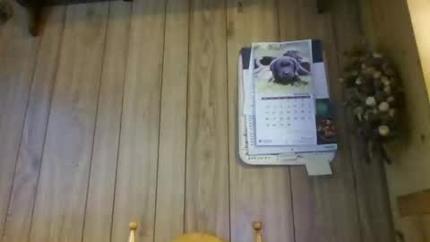 Snapshot of c4u58 chatting on 02/01/26, 11:20 c4u58 online show from 02/01/26, 11:20