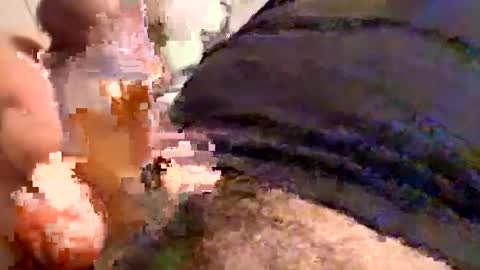 Snapshot of cactus_1041 chatting on 12/30/24, 05:58 Cactus1041 online show from 12/30/24, 05:58