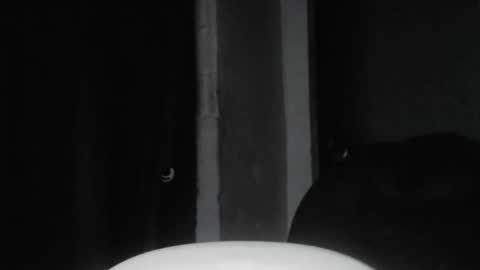 cafinfi1 online show from 02/18/26, 01:45