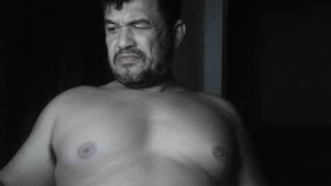 cafinfi1 online show from 02/20/26, 02:41