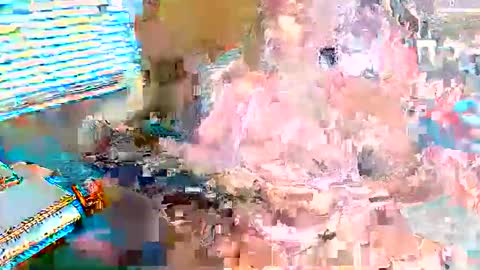 callhertori online show from 05/23/26, 12:53