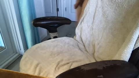 cals16 online show from 03/18/26, 03:59