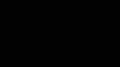 Charly online show from 03/17/26, 11:57