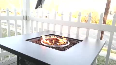 Chillaxin lets talk  online show from 12/25/24, 02:23