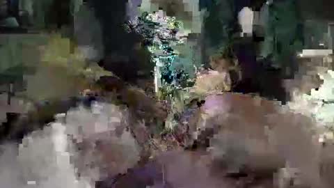 CameronRays online show from 04/25/26, 11:57