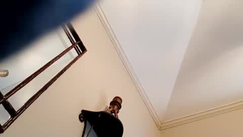 camerontaylorcub online show from 12/03/24, 05:12