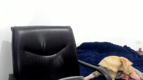 Cami online show from 06/12/26, 04:22