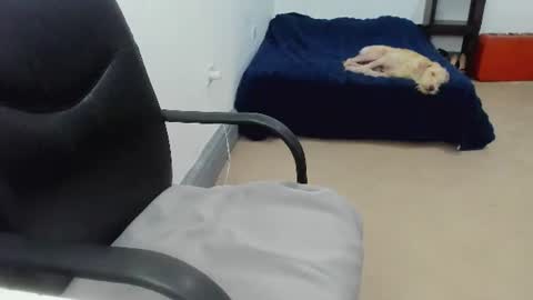 Cami online show from 07/10/26, 08:33