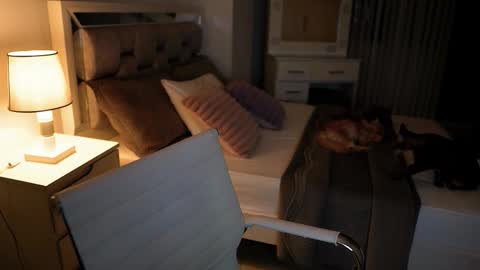 Camila buitrago online show from 11/18/25, 11:37