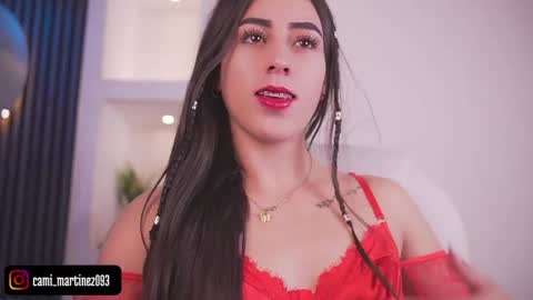 Snapshot of camila_martinez9 chatting on 05/19/26, 11:27 camila_martinez9 online show from 05/19/26, 11:27