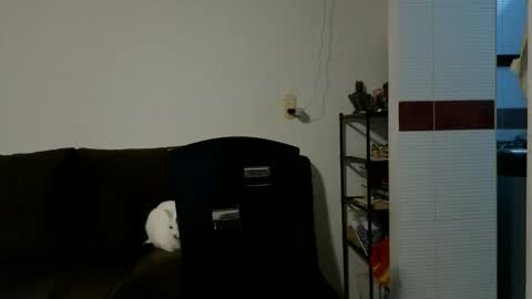 Camilo online show from 10/15/25, 09:26