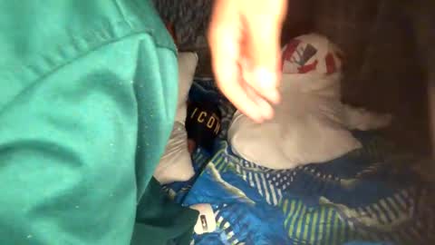 camivaron online show from 01/13/25, 08:58