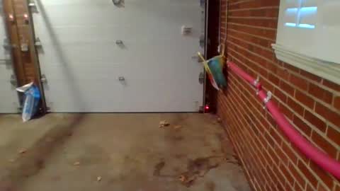 Snapshot of cammyman6900 chatting on 12/09/24, 01:34 cammyman6900 online show from 12/09/24, 01:34