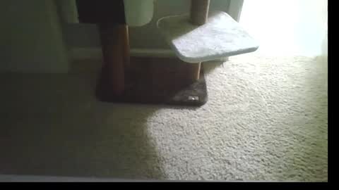 Snapshot of cammyman6900 chatting on 09/21/25, 04:47 cammyman6900 online show from 09/21/25, 04:47