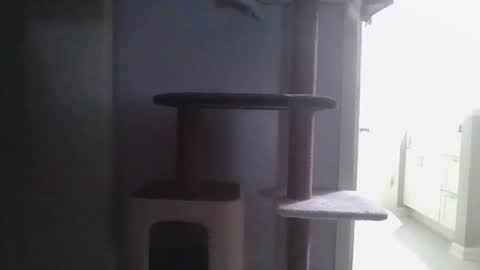 cammyman6900 online show from 11/21/25, 04:22